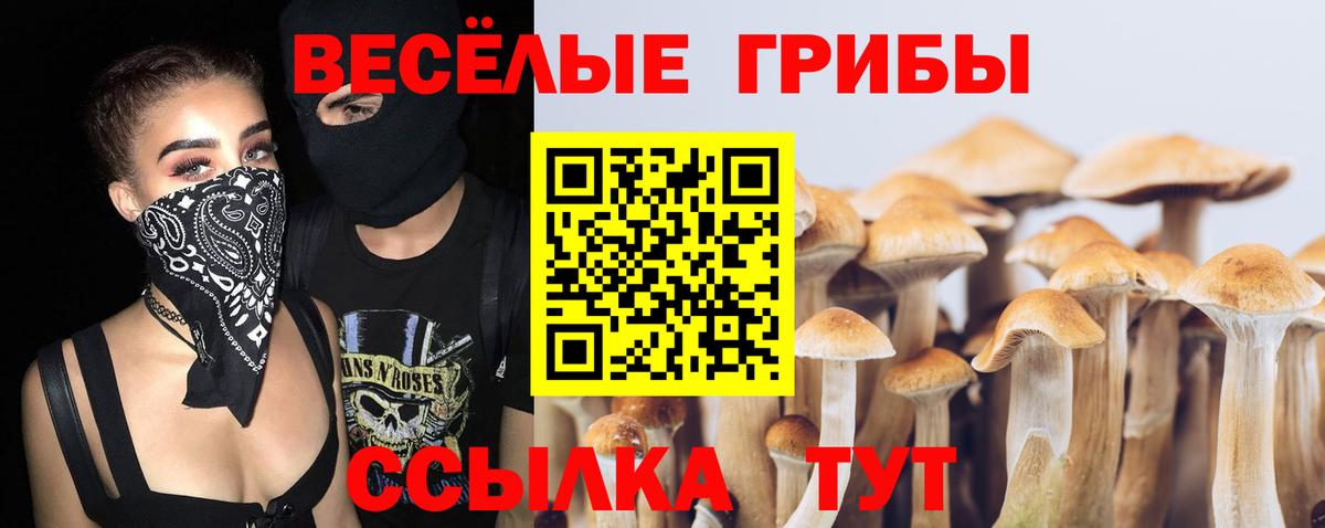 Псилоцибиновые грибы мицелий Североуральск